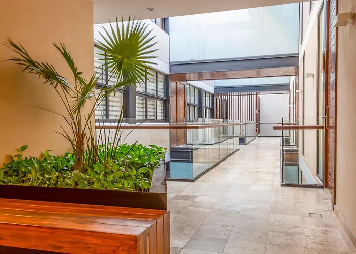 Exclusive 5th Ave With Private Pool * Playa del Carmen
